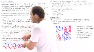 Quaternary Structure of Proteins [upl. by Ichabod]