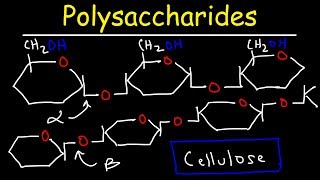 AS Biology  Making and breaking glycosidic bonds [upl. by Tingley]