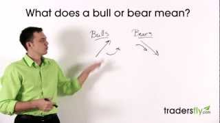 What Does a Bull and Bear Mean in the Stock Market [upl. by Gracye]