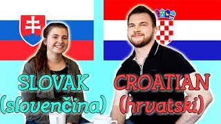 Similarities Between Slovak and Croatian [upl. by Ailuy708]