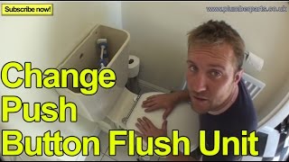 HOW TO CHANGE A PUSH BUTTON FLUSH UNIT  Plumbing Tips [upl. by Ylhsa]