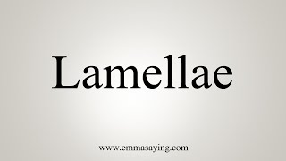 How To Say Lamellae [upl. by Knute]