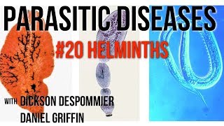 Parasitic Diseases Lectures 20 Helminths [upl. by Merkley200]