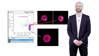 Imaging Flow Cytometry A Brief Overview  Andrew Filby Newcastle U [upl. by Hawk200]