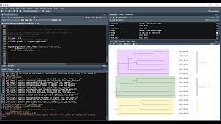 Phylogenetic Analysis of ITS sequences in R [upl. by Persian]