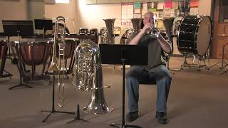 How Do Brass Instruments Make Sound [upl. by Deadman]