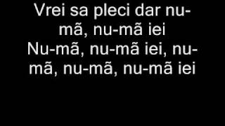 O Zone  Dragostea Din Tei W Phonetic Lyrics [upl. by Herzberg]