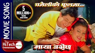 Chameliko Phoolma  Maya Basechha Nepali Movie Song  Rajesh Hamal  Rekha Thapa  Nawal Khadka [upl. by Aihsekan]