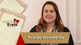 Explica Direito Filiação Socioafetiva  2019 [upl. by Lucier445]