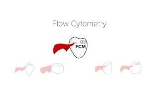 Flow Cytometry [upl. by Yrol]