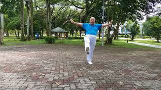 Taiji Qigong Shibashi  Set 8 Jing Hua Ban [upl. by Agnizn716]