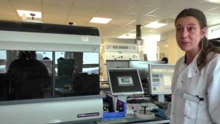 Flow Cytometry – Liliana Carvalho [upl. by Enived]