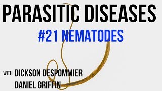 Parasitic Diseases Lectures 21 Nematodes [upl. by Laenej21]