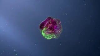 Flow Cytometry Animation [upl. by Yukio]