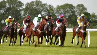 Funny CommentaryHorse Racing [upl. by Thilda720]