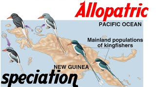 Allopatric speciation animation [upl. by Antipus350]