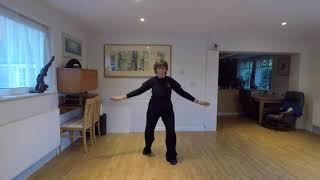 Tai Chi Qigong Shibashi Set 1 [upl. by Desirae]