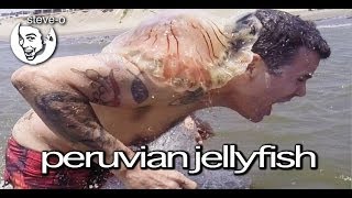 Peruvian Jellyfish Stunt  SteveO [upl. by Imalda]