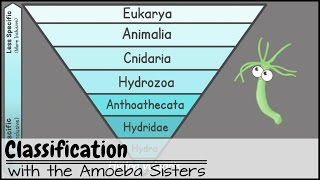 Classification [upl. by Maria923]