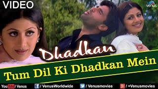 Tum Dil Ki Dhadkan Mein  Duet Dhadkan [upl. by Leuqer]