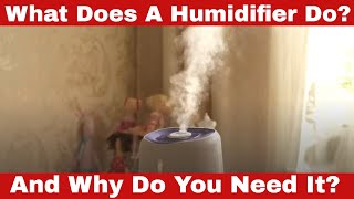 What Does a Humidifier Do Why Do You Need It [upl. by Nadean880]