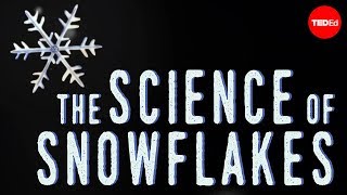 The science of snowflakes  Maruša Bradač [upl. by Nniuqal]