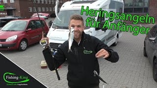 Wie fange ich Heringe und welche Ausrüstung brauche ich  FishingKingde [upl. by Liamaj449]