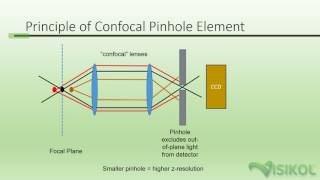 Confocal Microscopy Tutorial [upl. by Divan]