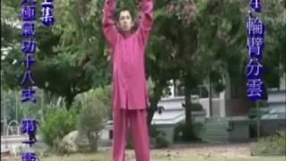 Qigong Chi Kung Shibashi Version 1 [upl. by Fawne]