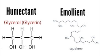 Humectants and Emollients  Know Your Ingredients [upl. by Joacimah]