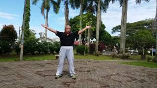 Taiji Qigong Shibashi  Set 2 [upl. by Ativak]