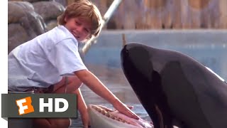 Free Willy 1993  Training Willy Scene 510  Movieclips [upl. by Morna]