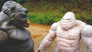 Gorilla Rampage Vs King Kong Story  My Collection Surprise Toys amp Unboxing  BOBOTV [upl. by Zerk]