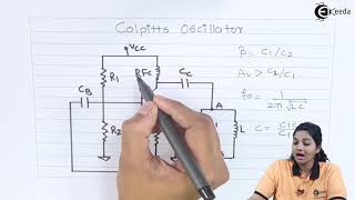 Colpitts Oscillators  Oscillators in Basic Electronics  Basic Electronics [upl. by Rhyner702]