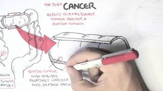 Cancer  Introduction I [upl. by Yale460]