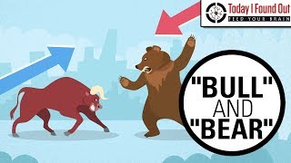 Why are Bull and Bear Markets Called That [upl. by Nitsa511]