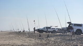 Surf fishing Assateague Beach Chincoteague va [upl. by Rowena207]