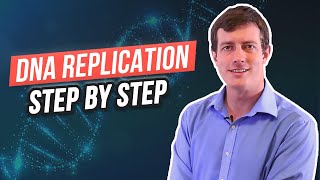 6 Steps of DNA Replication [upl. by Nosmirc]