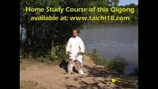 Tai Chi Qigong Shibashi  Set 2 [upl. by Lleneg]