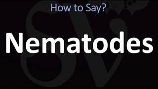 How to Pronounce Nematodes CORRECTLY [upl. by Anoved]