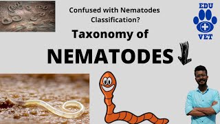 Phylum Nematoda Basics Veterinary Parasitology [upl. by Sparks]