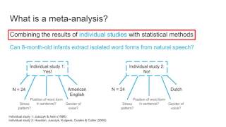 1 What is metaanalysis [upl. by Ehcadroj]