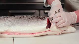 How to Fillet a Salmon [upl. by Dennet]