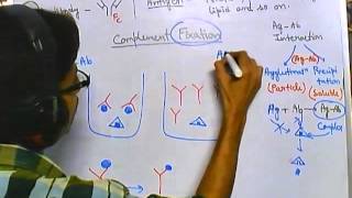 Complement fixation test [upl. by Sixel]