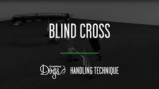 Blind Cross Agility Handling Technique [upl. by Francyne]