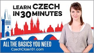 Learn Czech in 30 Minutes  ALL the Basics You Need [upl. by Assiren]