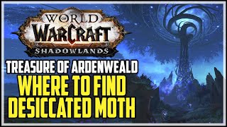 Desiccated Moth Location WoW Treasures of Ardenweald [upl. by Allerus]