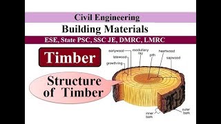 Structure of Timber  Timber  Building Materials [upl. by Acim419]