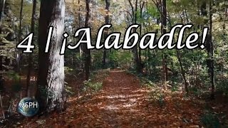 HA62  Himno 4  ¡Alabadle [upl. by Skipper]