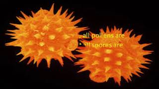 Difference Between Pollen and Spore [upl. by Arema433]